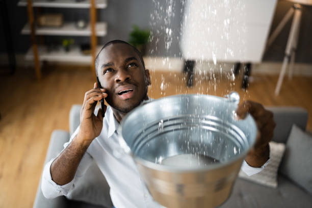 Best Mold removal after water damage  in Davis, CA