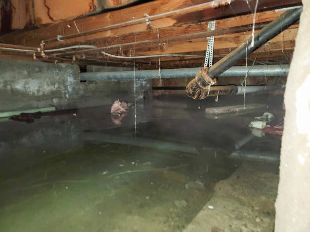 Sewage cleanup and water damage restoration in Davis, CA