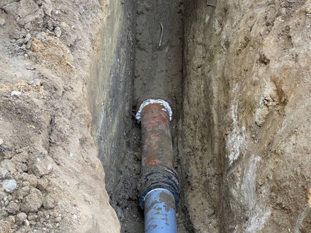 Best Flood restoration services  in Davis, CA