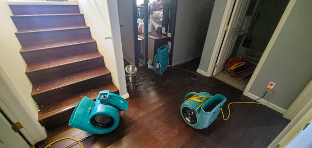  Davis, CA Water damage restoration Pros