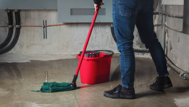 Best Water damage restoration specialists  in Davis, CA