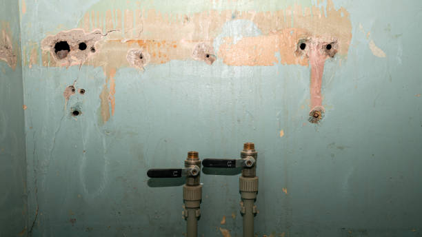 Best Ceiling water damage repair  in Davis, CA
