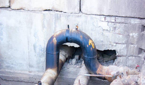 Best Professional water damage repair  in Davis, CA