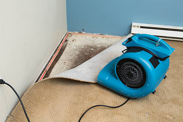 Best Flood damage cleanup  in Davis, CA